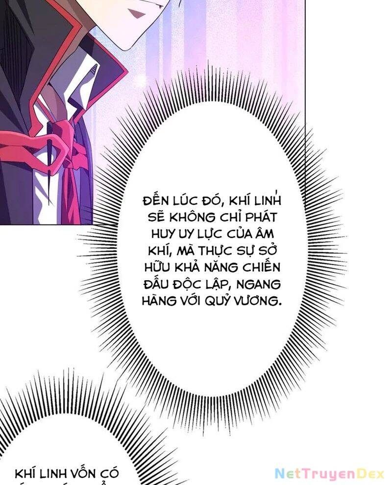 Chapter 206