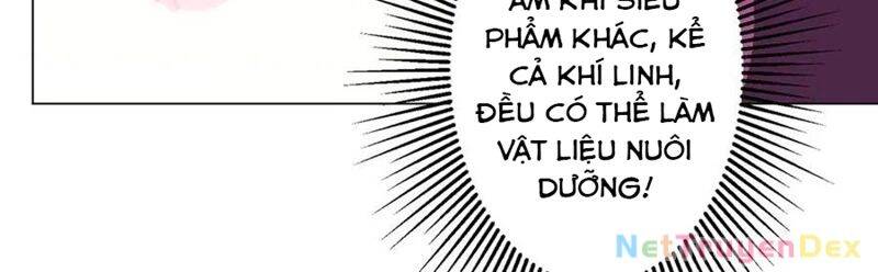 Chapter 206