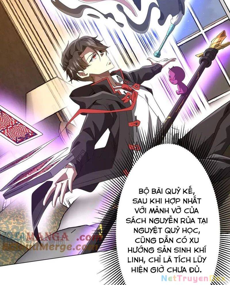 Chapter 206