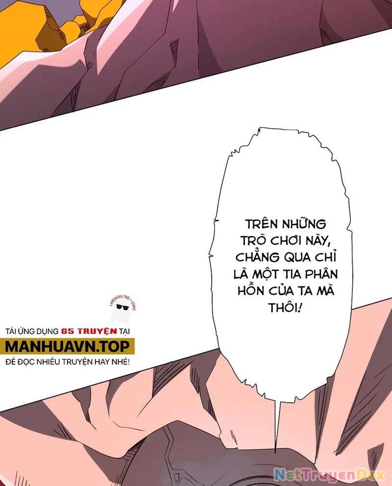 Chapter 206