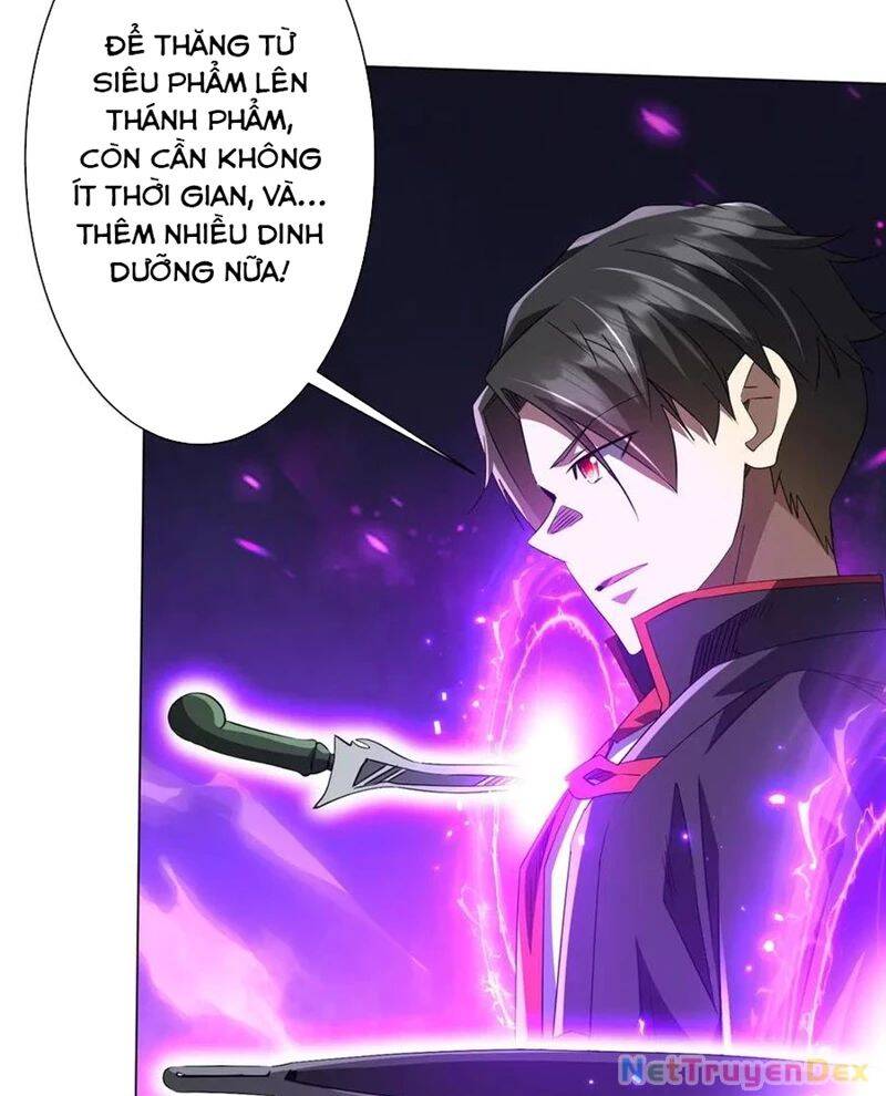 Chapter 206