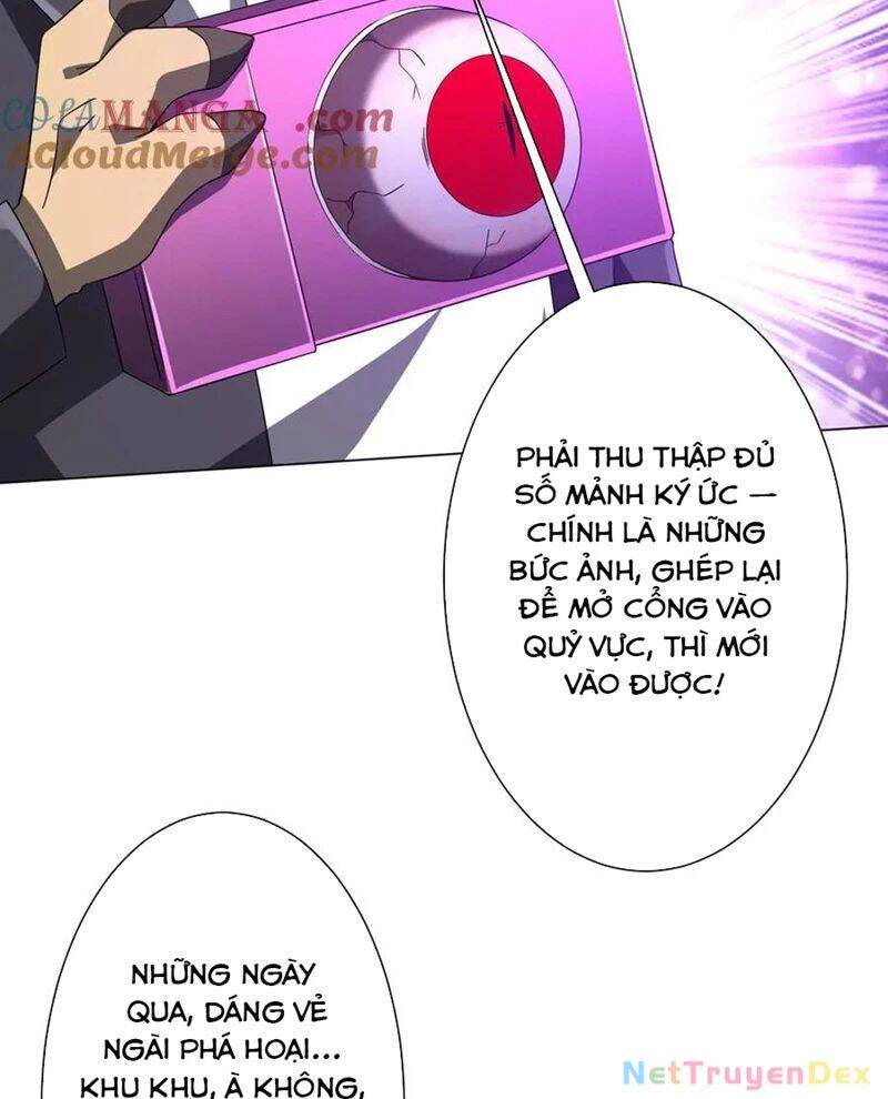 Chapter 206