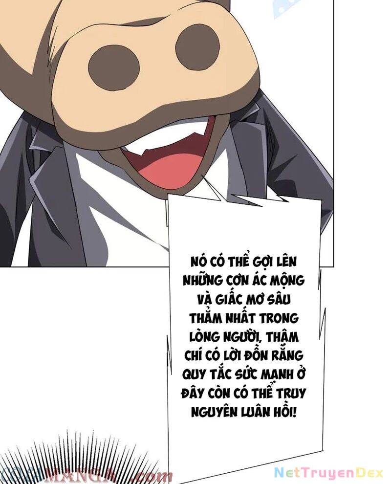 Chapter 206