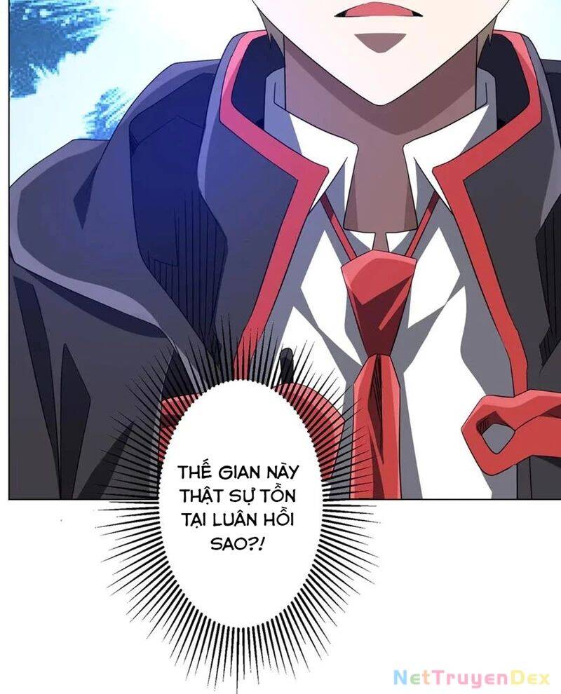 Chapter 206