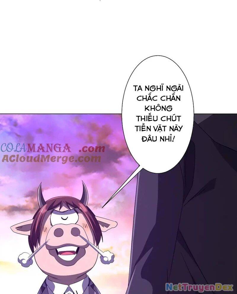 Chapter 206