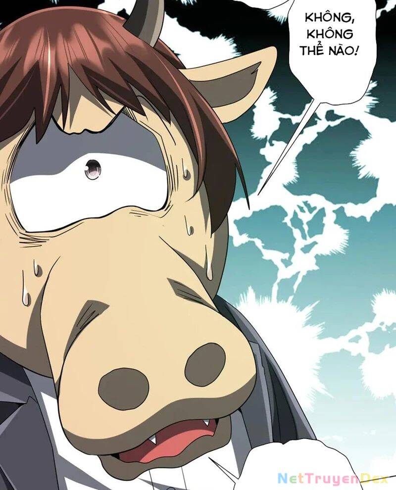 Chapter 206
