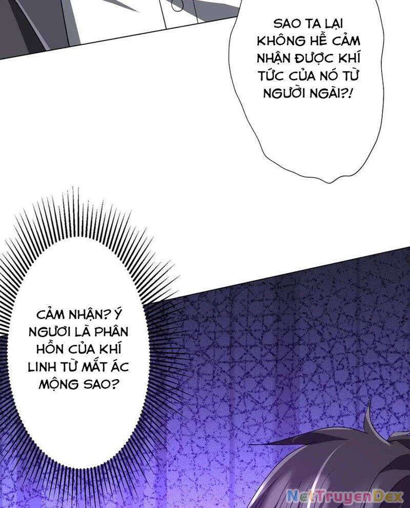 Chapter 206