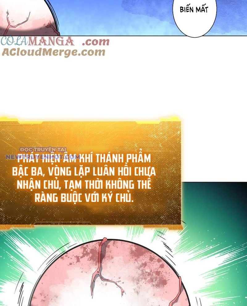 Chapter 207