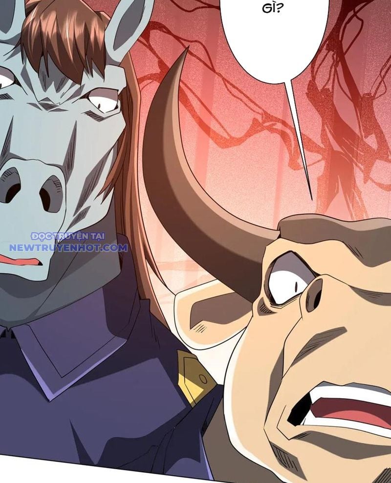 Chapter 207