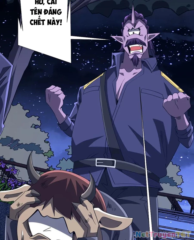 Chapter 208