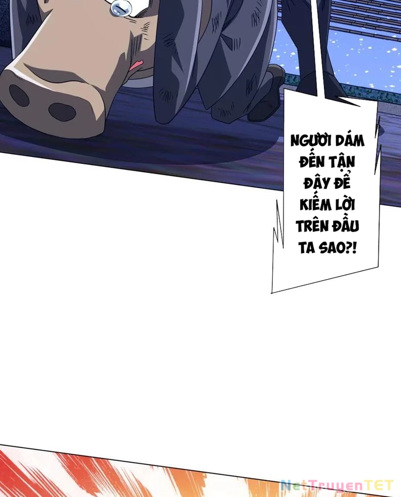 Chapter 208