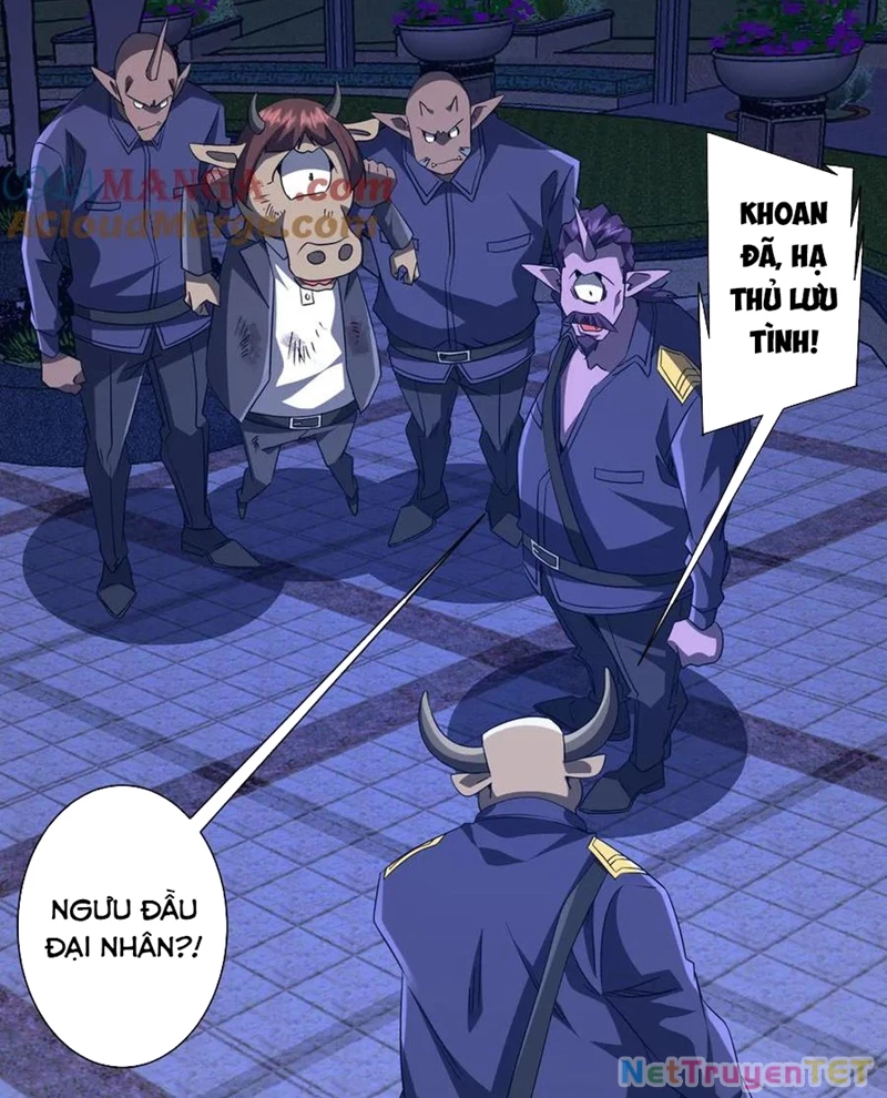 Chapter 208