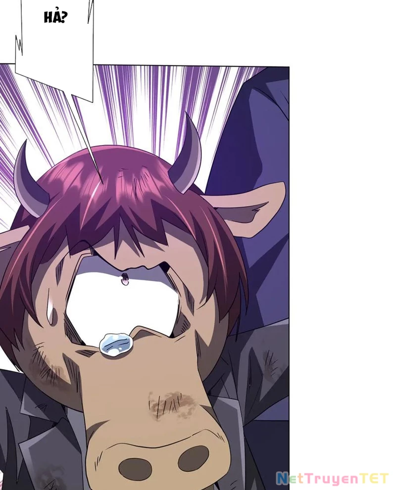 Chapter 208