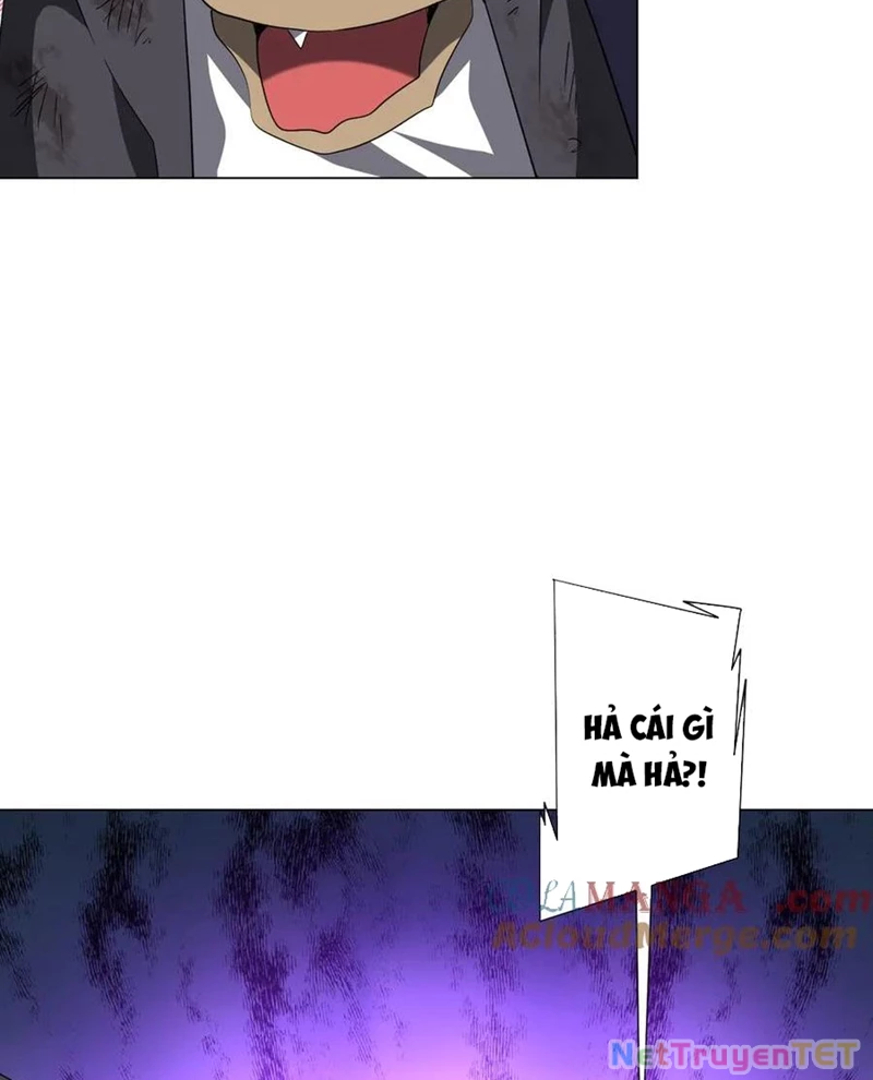 Chapter 208