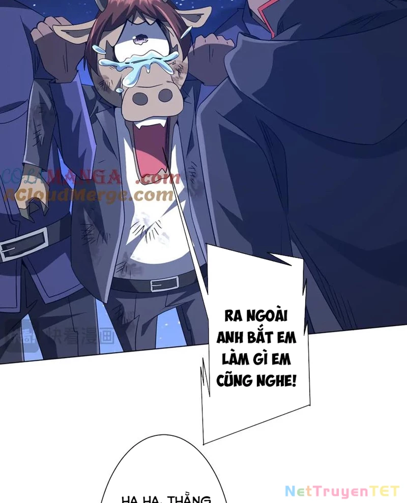 Chapter 208