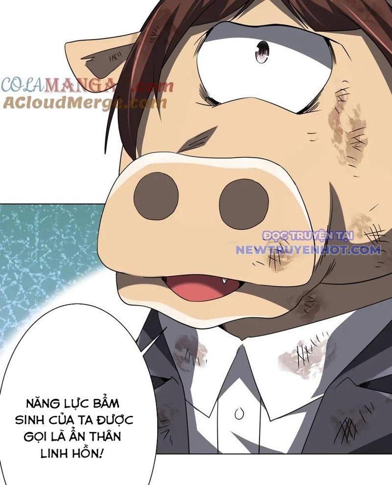 Chapter 209