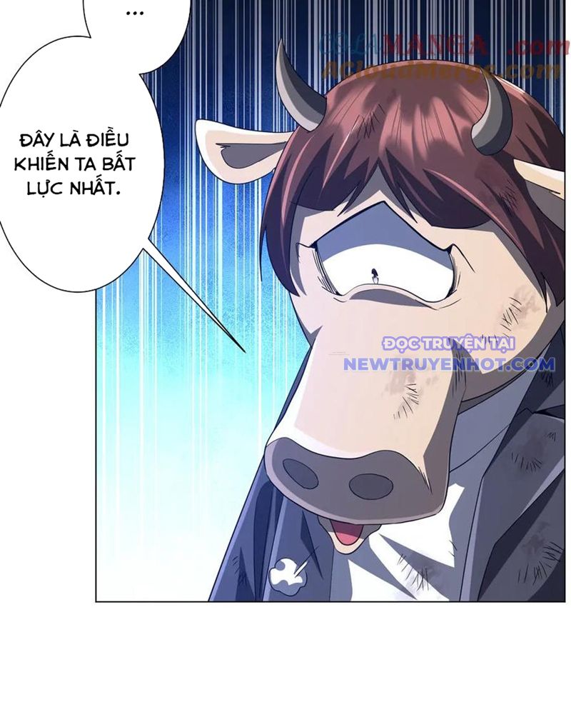 Chapter 209