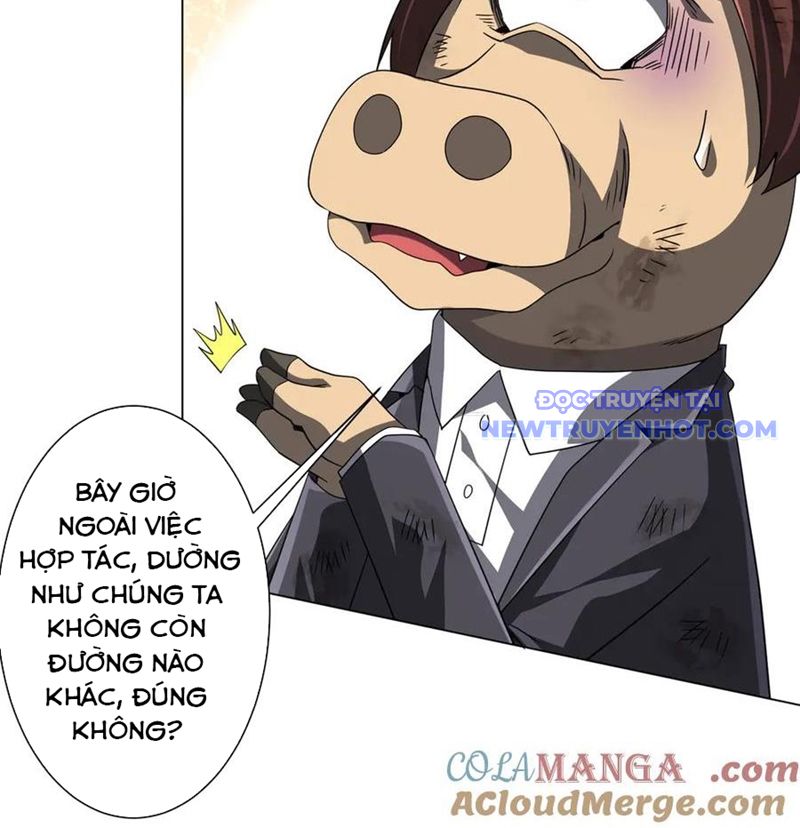 Chapter 209