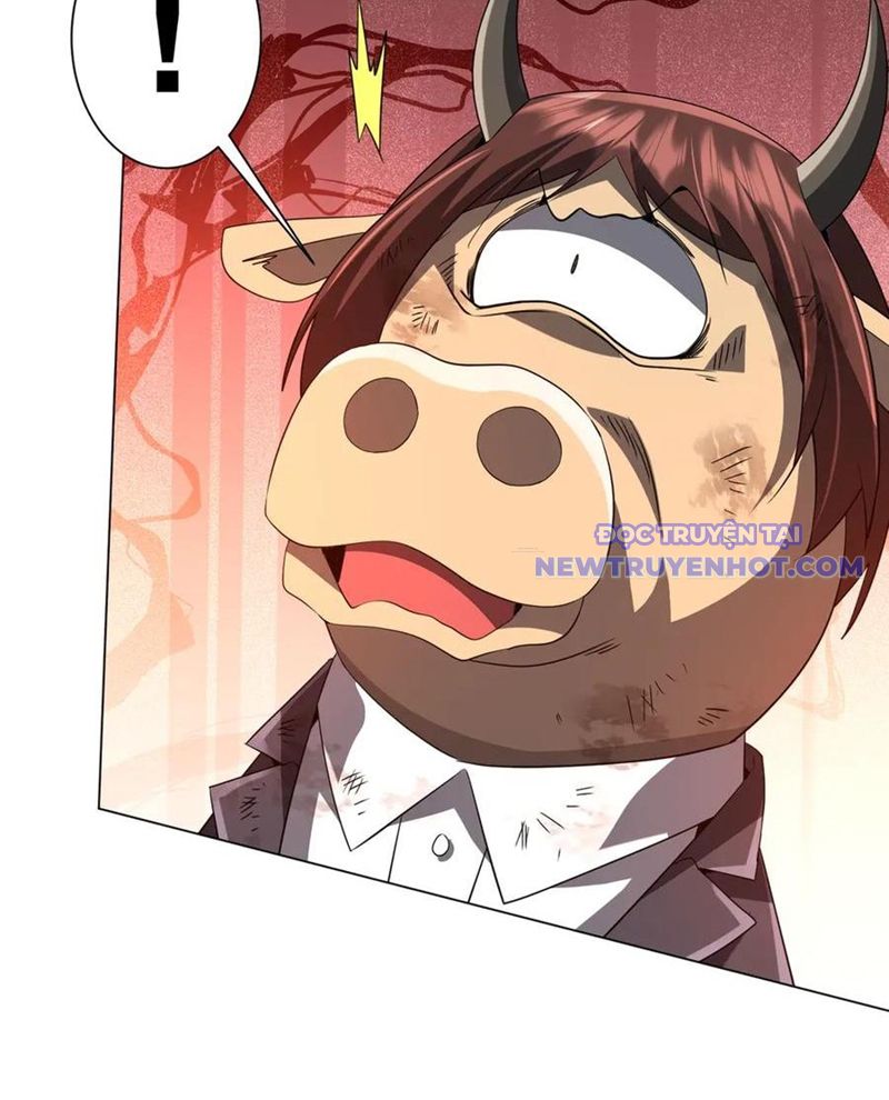 Chapter 209