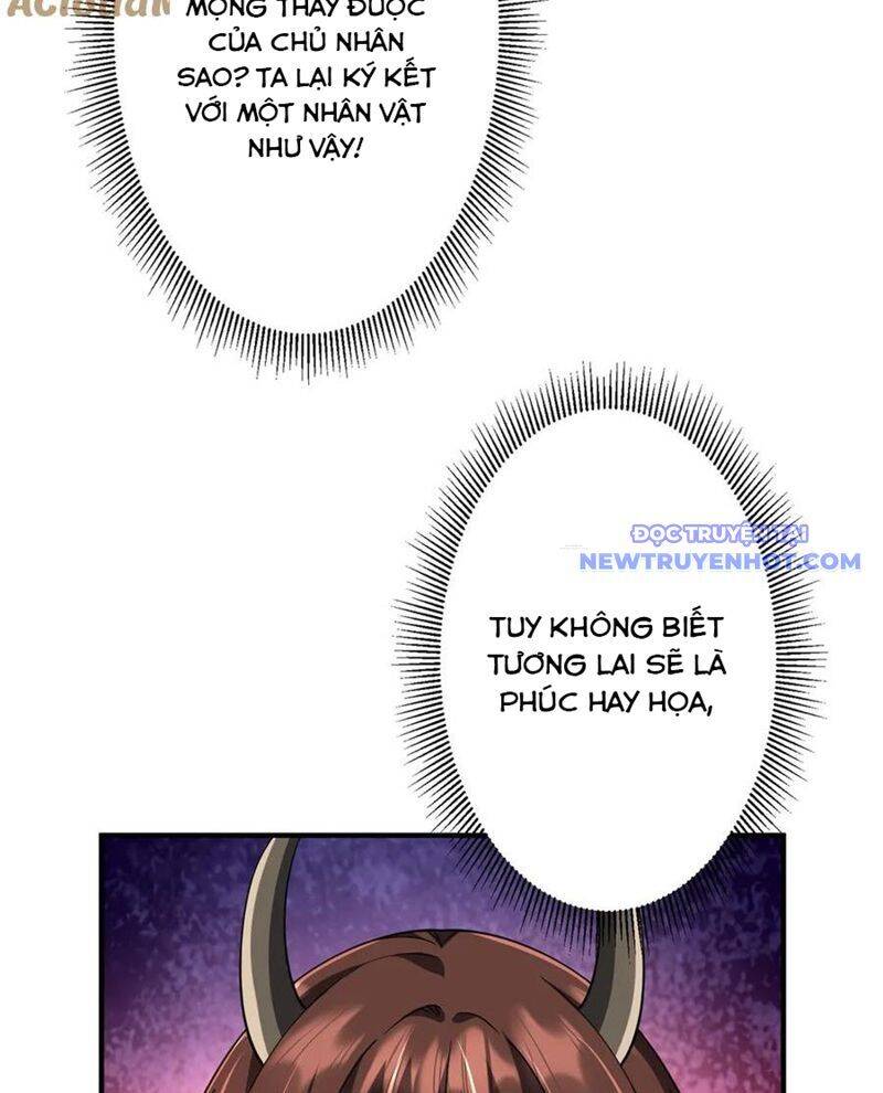 Chapter 210