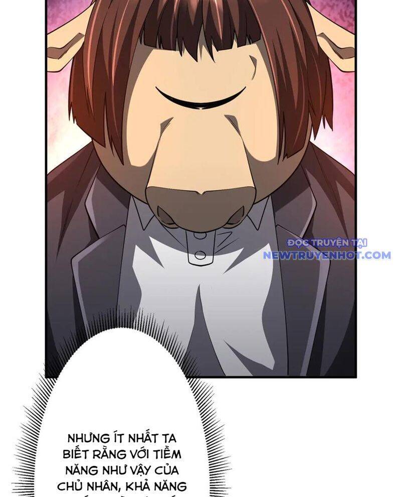 Chapter 210