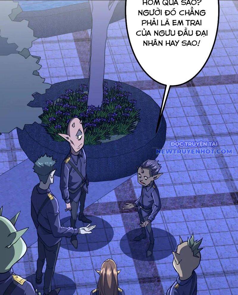 Chapter 210