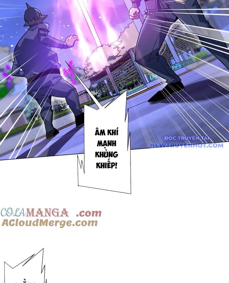 Chapter 211