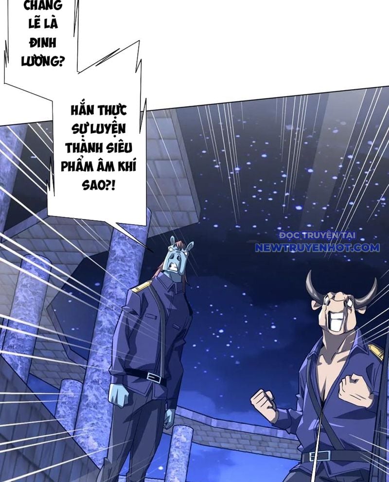 Chapter 211