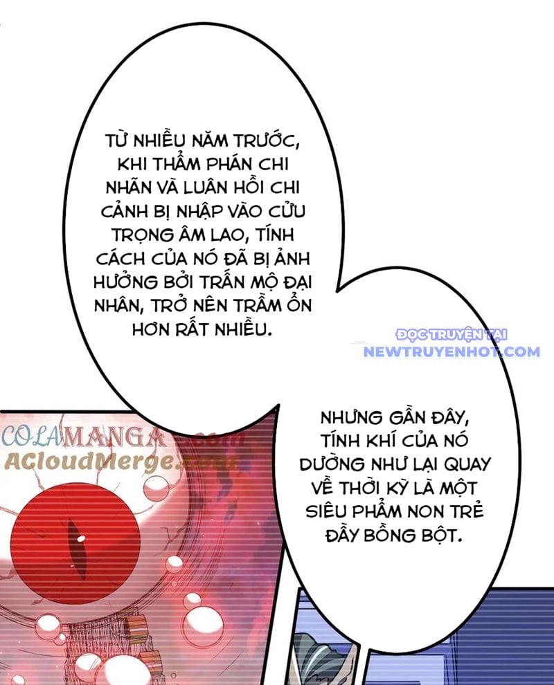 Chapter 213