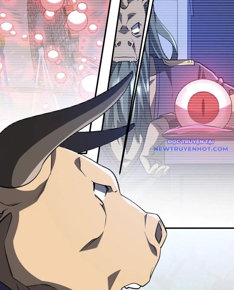 Chapter 213