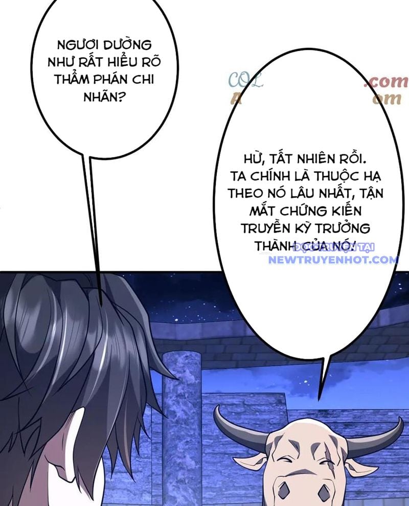 Chapter 213
