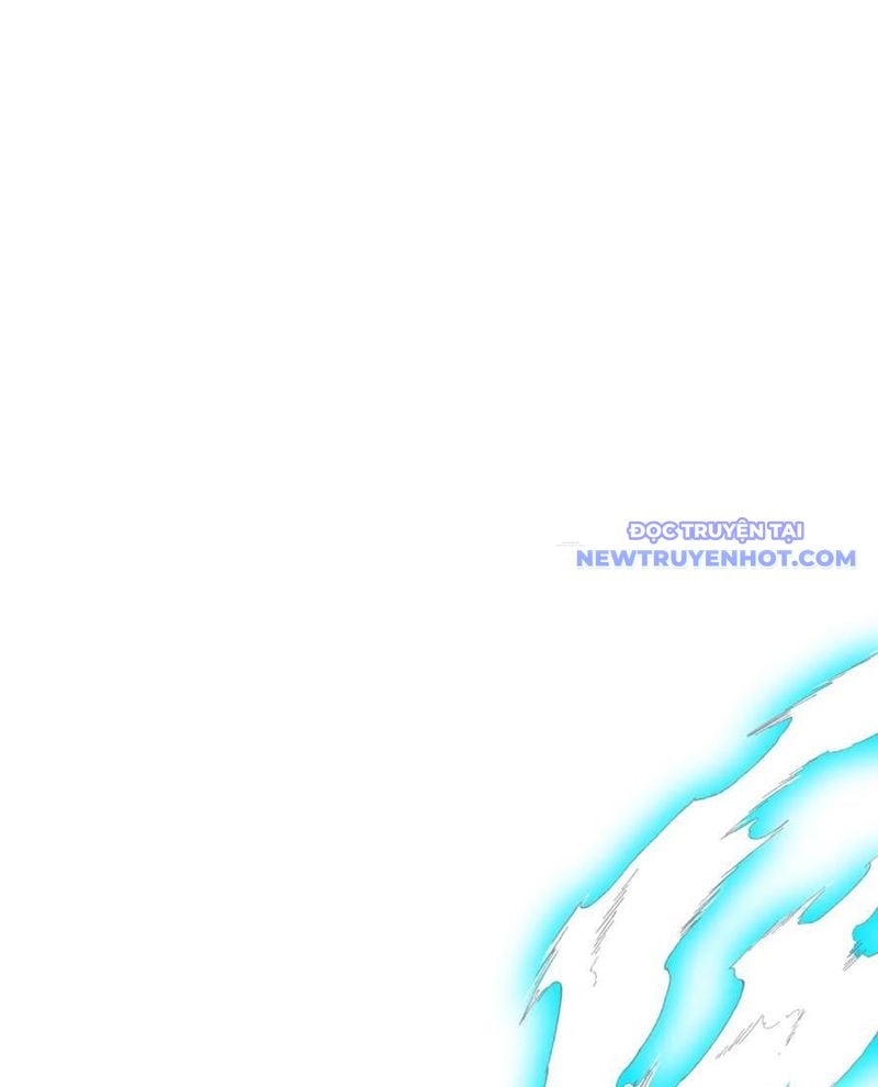 Chapter 213