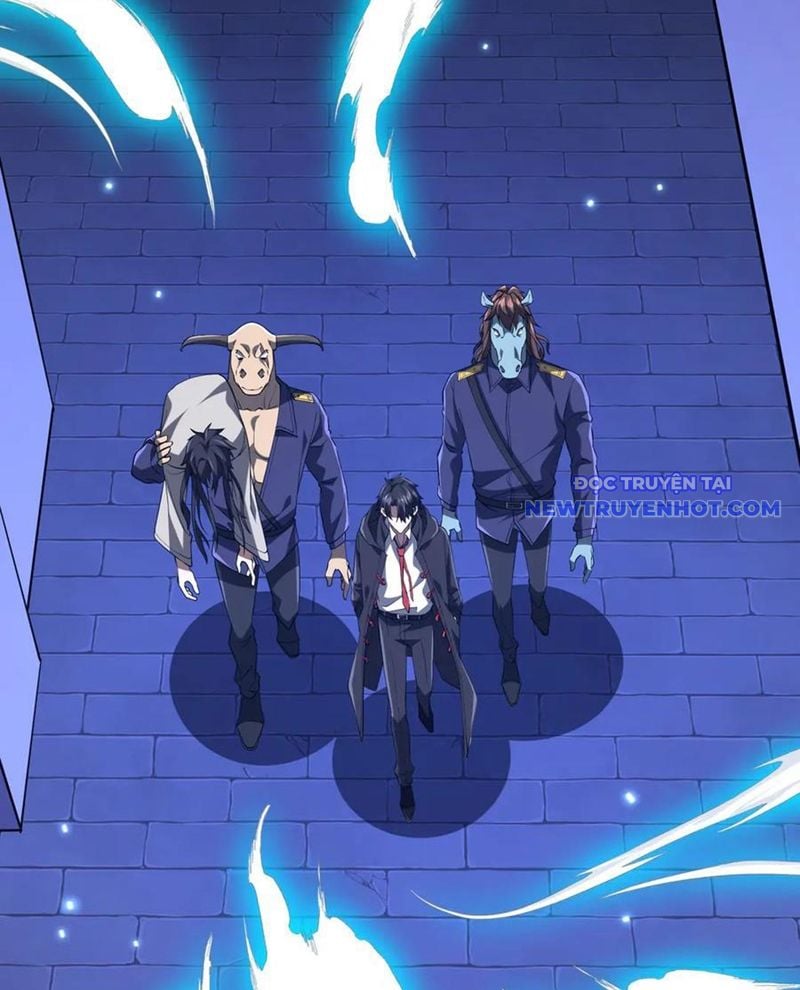 Chapter 213