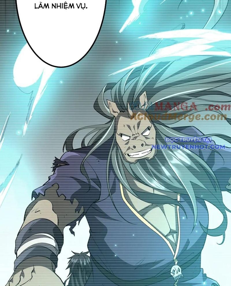 Chapter 213