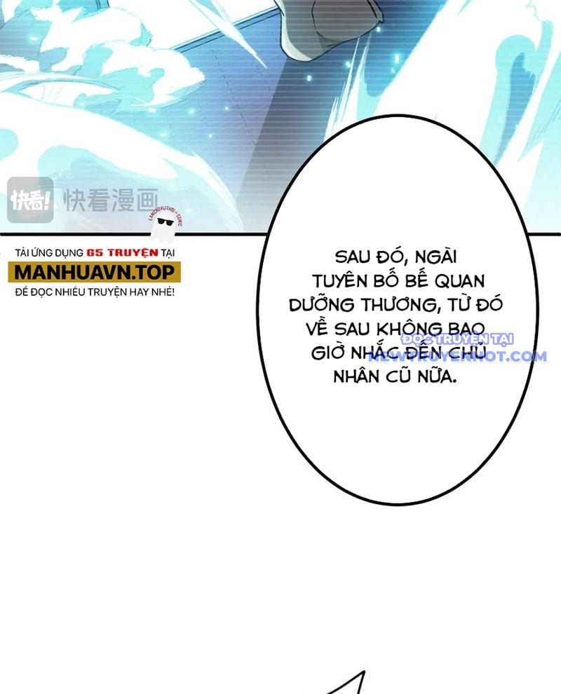 Chapter 213