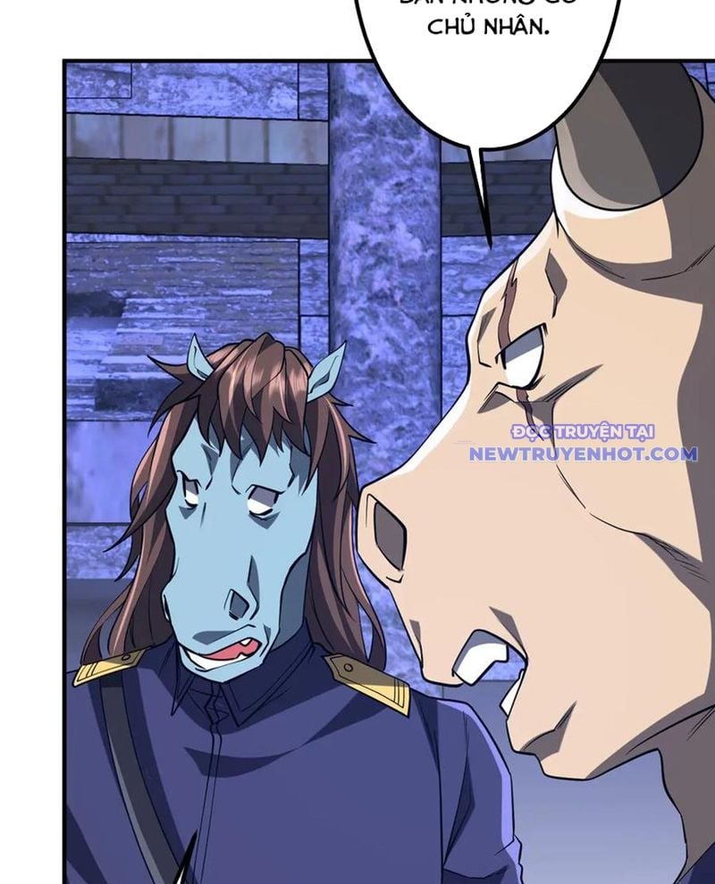 Chapter 213