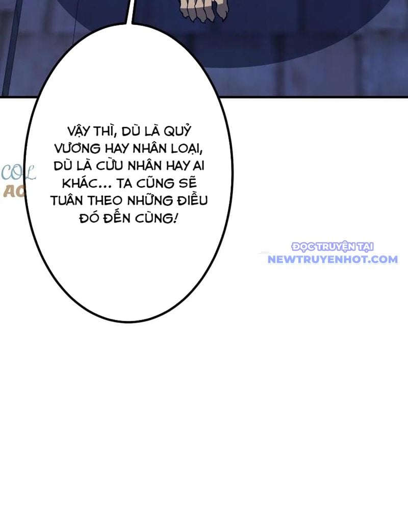 Chapter 213