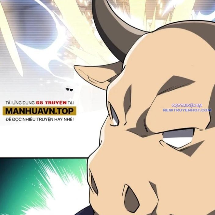 Chapter 215