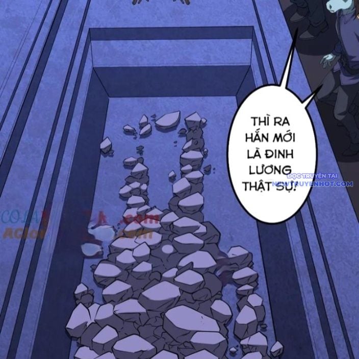 Chapter 215