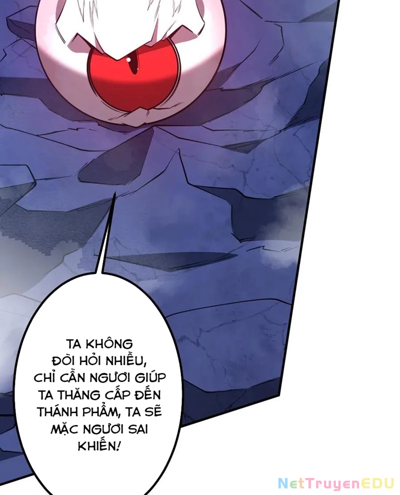 Chapter 217
