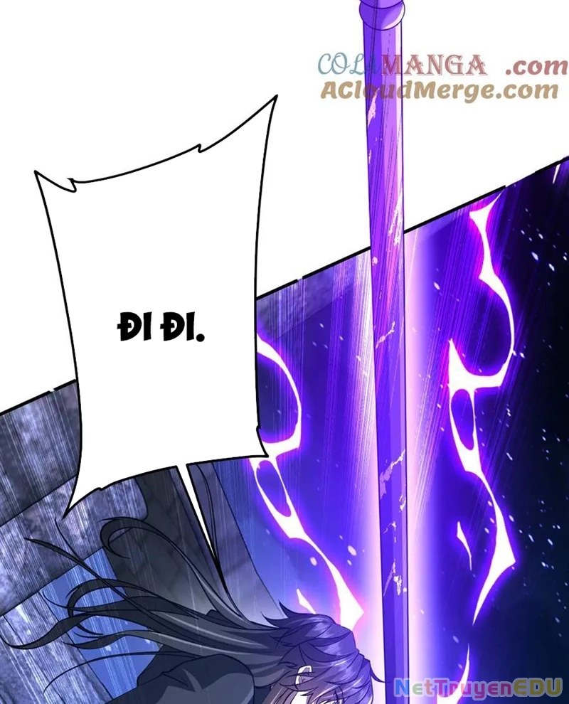Chapter 217