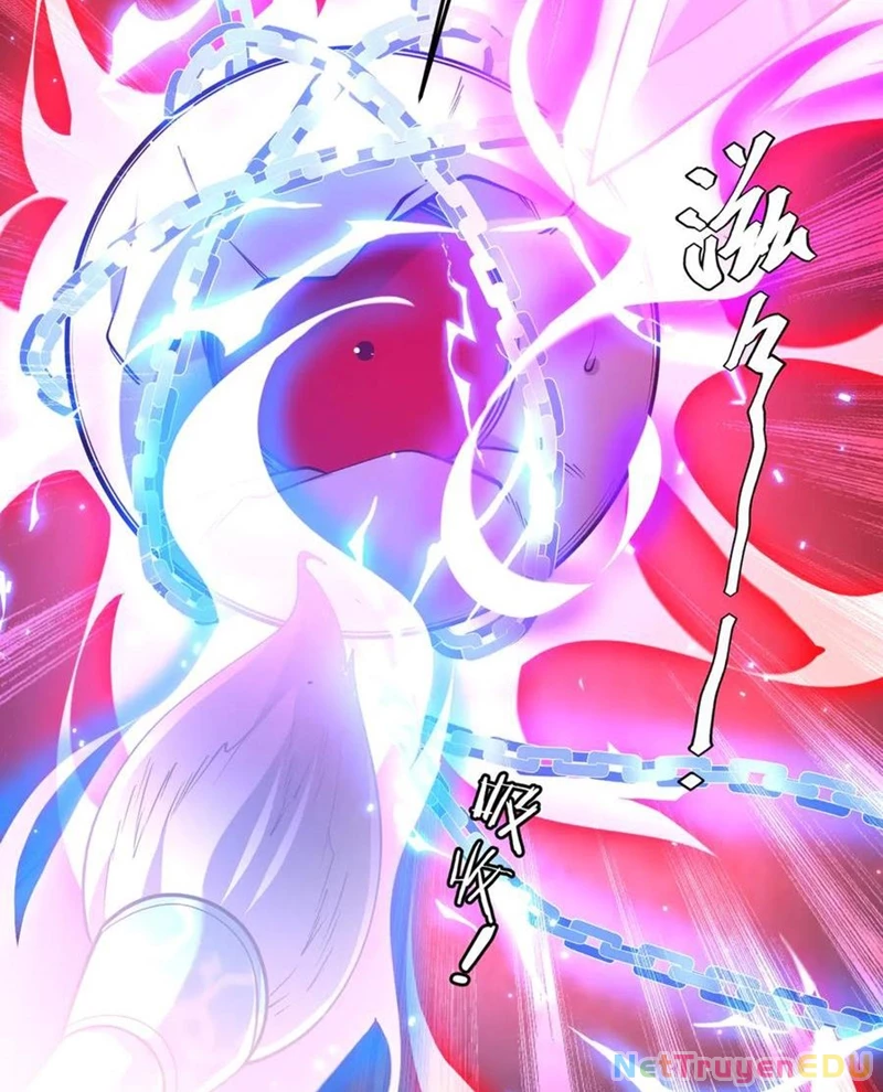 Chapter 217