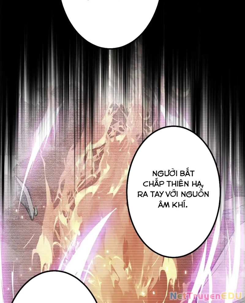 Chapter 217