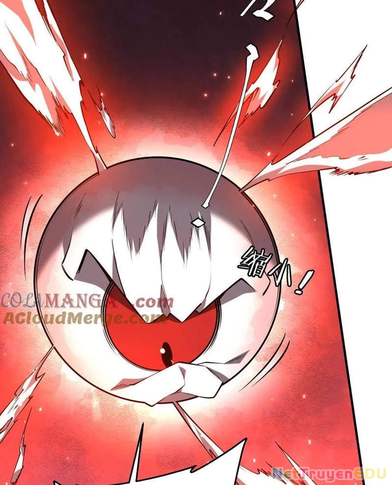 Chapter 217