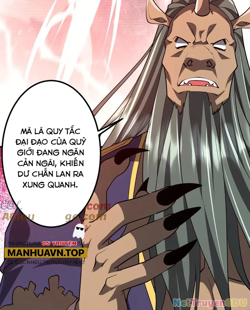 Chapter 217