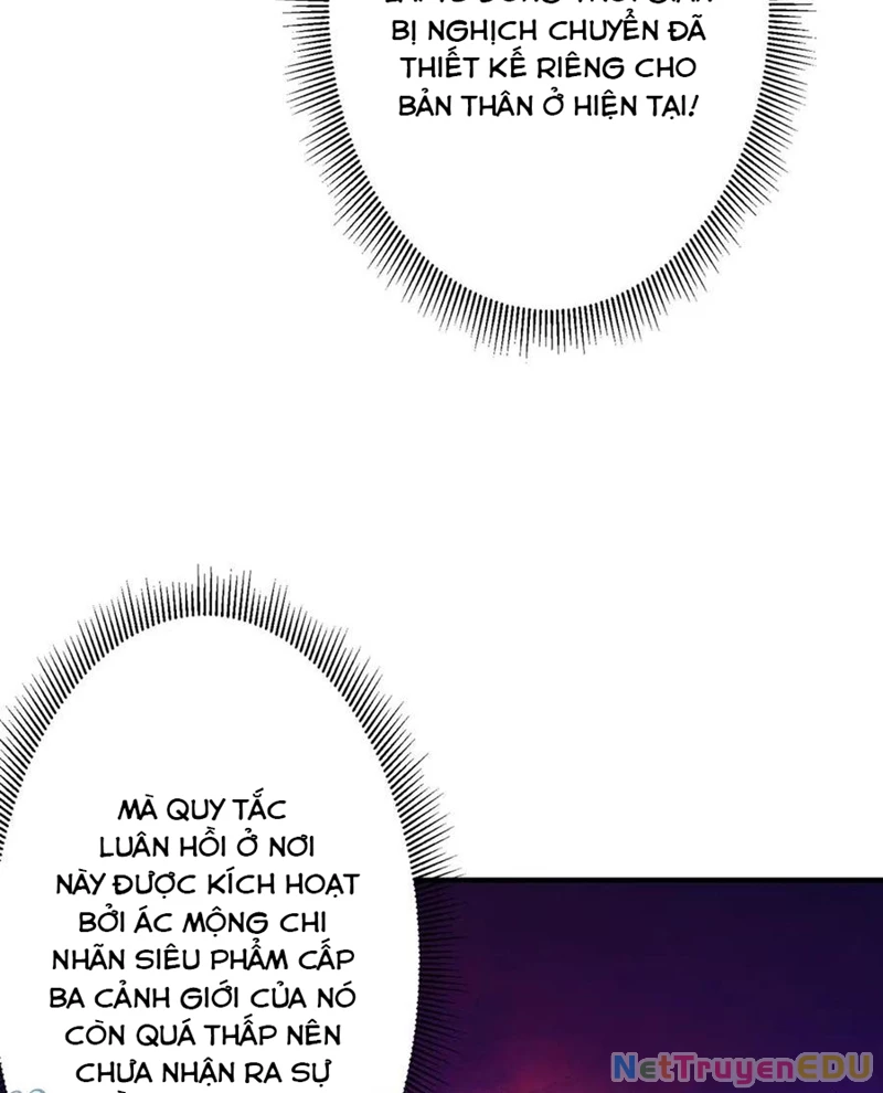 Chapter 217