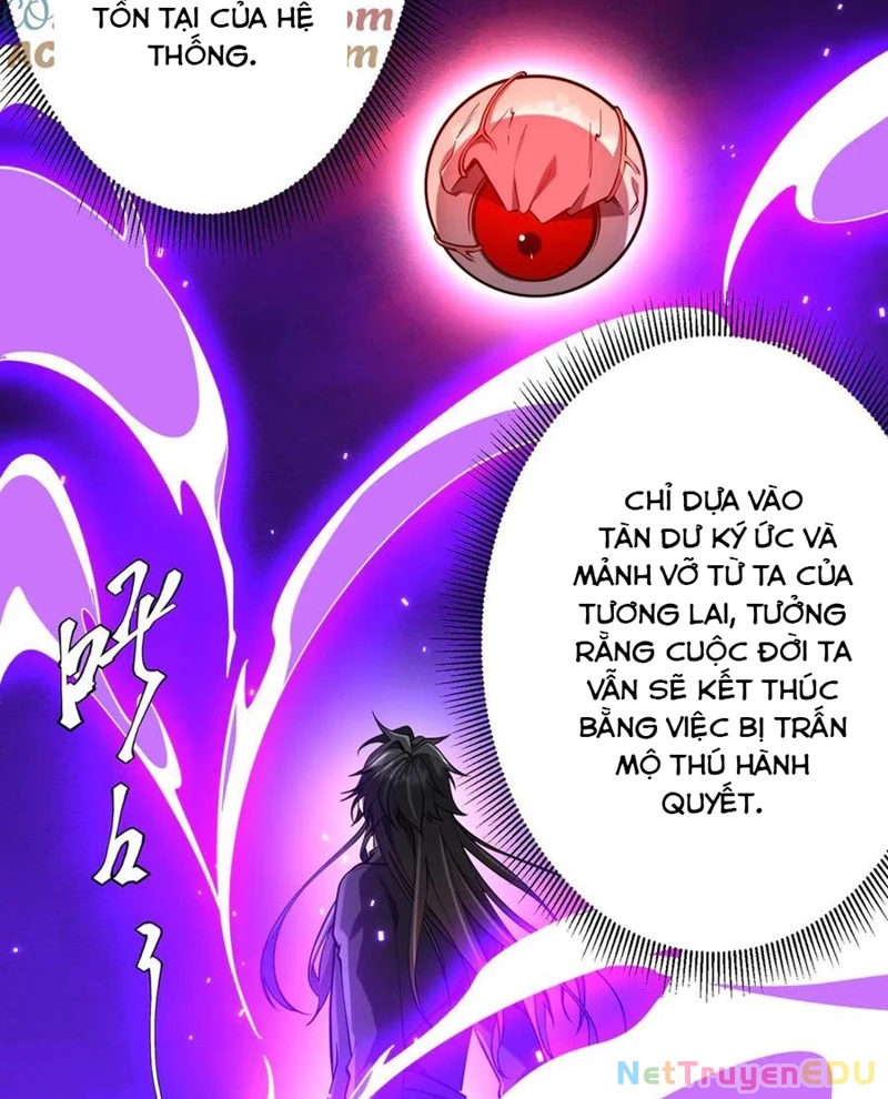 Chapter 217