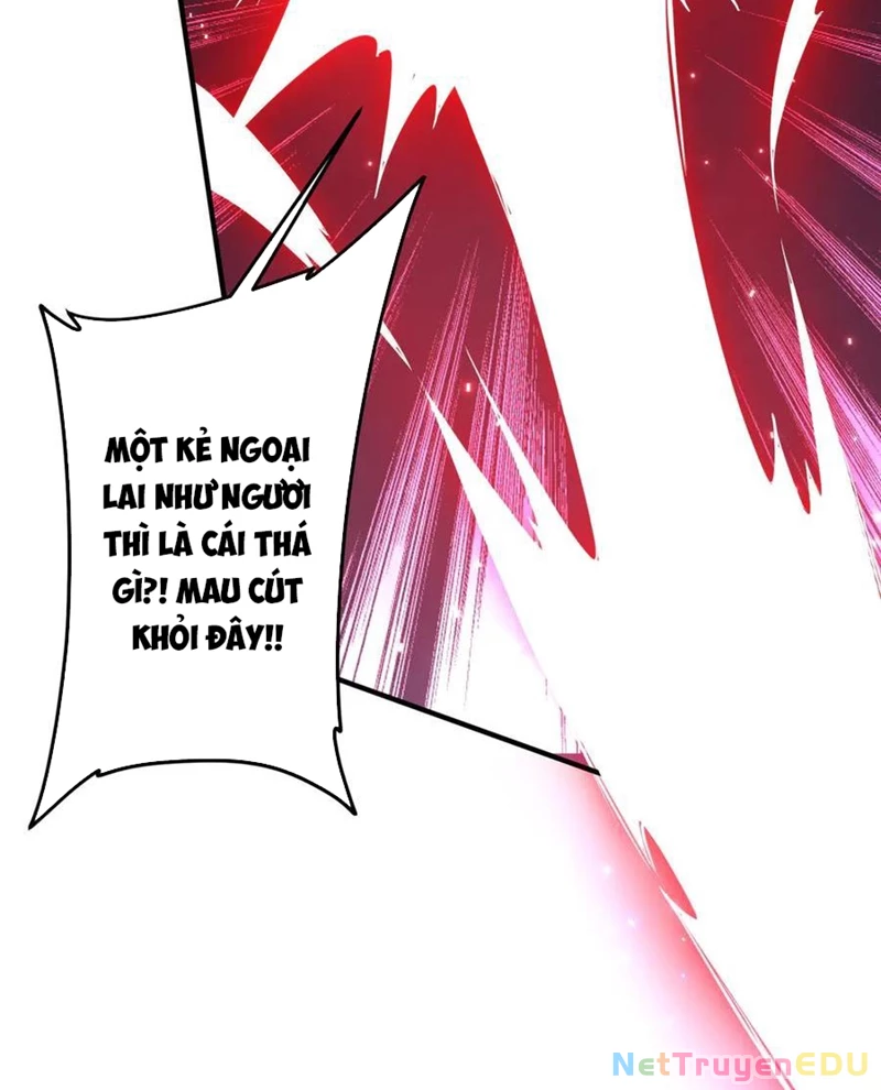 Chapter 217