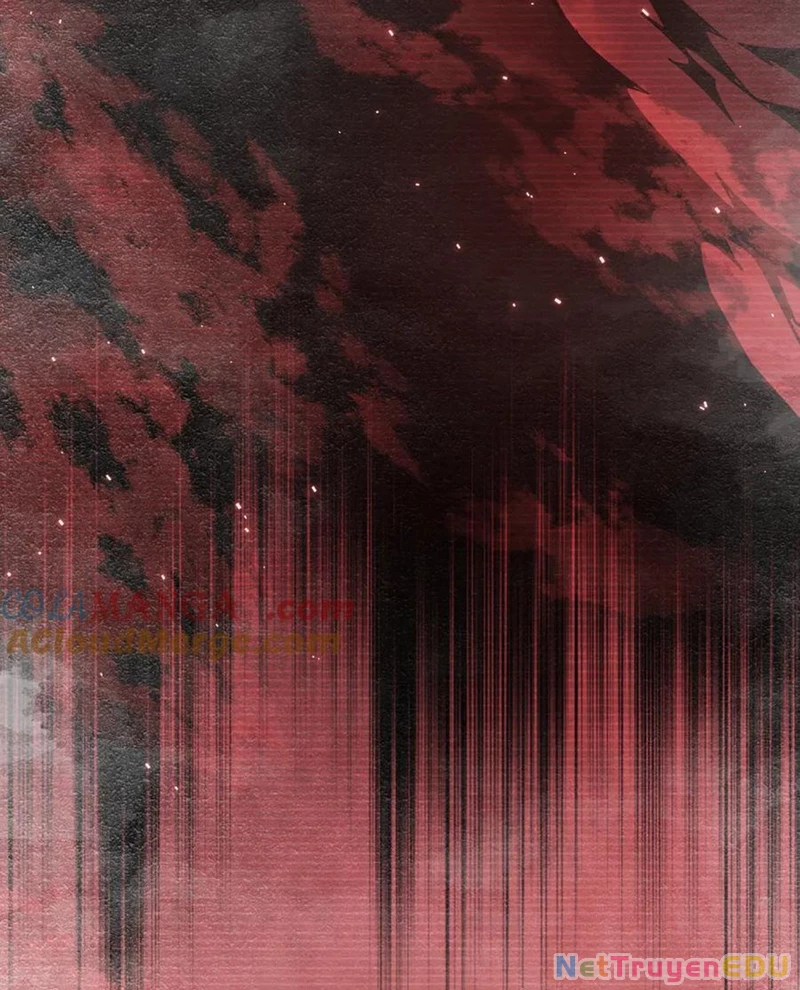 Chapter 217