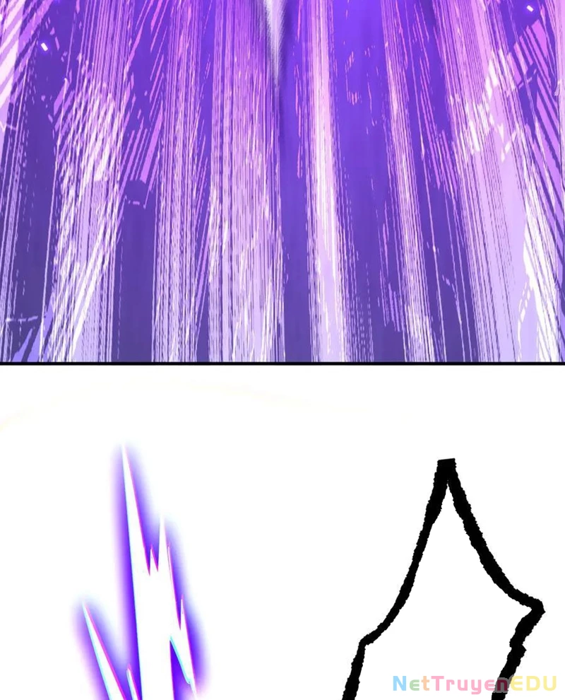 Chapter 217